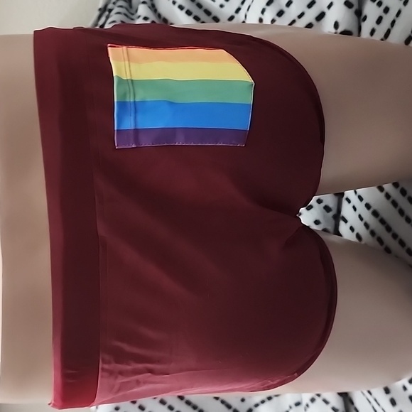 Pride  Swim Brief - Picture 2 of 2